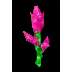 Kosmos CREATTO Love 3D-Leuchtfiguren Entwerfen 3D-Puzzle-Set Für Herz Rose Schmetterling Oder Bilderrahmen 17 Kosmos CREATTO Love 3D-Leuchtfiguren Entwerfen 3D-Puzzle-Set Für Herz Rose Schmetterling Oder Bilderrahmen -Spielzeug Geschäft xkos 3493 7 1280x1280