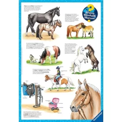 Ravensburger Kinderpuzzle 3 X 49 Teile Ein Tag Auf Dem Reiterhof Wieso? Weshalb? Warum? Für Kinder Ab 5 Jahren -Spielzeug Geschäft xrav 10203419 4 1280x1280