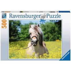 Ravensburger Puzzle 500 Teile Pferd Im Rapsfeld Für Erwachsene Und Kinder Ab 10 Jahren