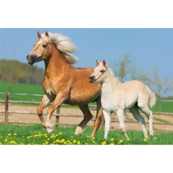 Schmidt Spiele 55588 - Pferde, Puzzle-Box -Spielzeug Geschäft xsch 55588 4 1280x1280